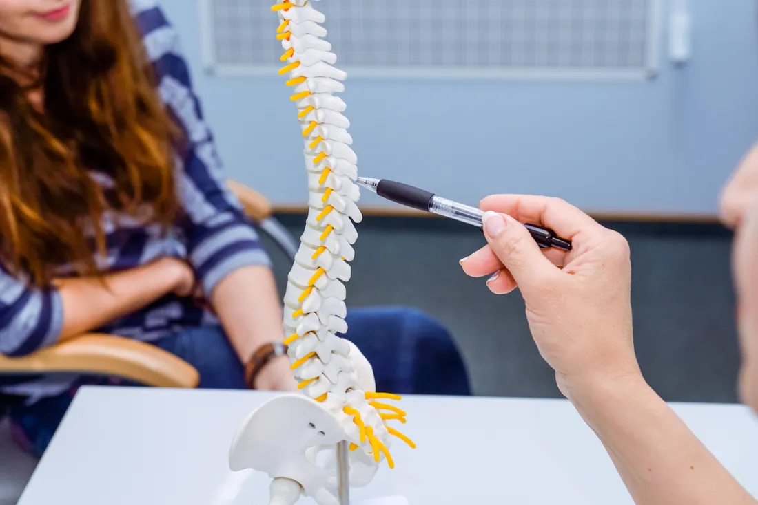 Spine model at Chagrin River Chiropractic in Mentor, OH